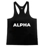 ALPHA Stringer